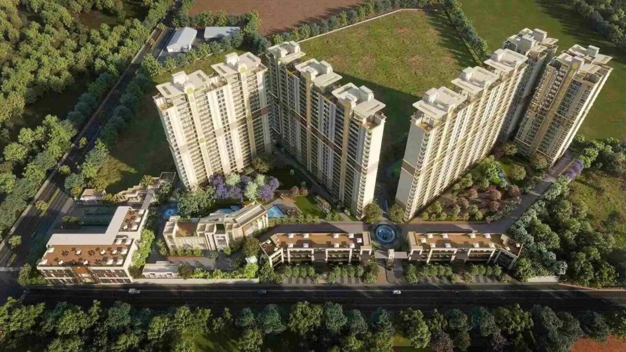 Affinity Belgravia