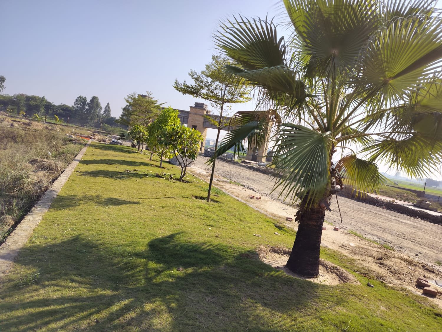 Myst Aerotown Zirakpur green median with palm-lined internal road Myst Aerotown