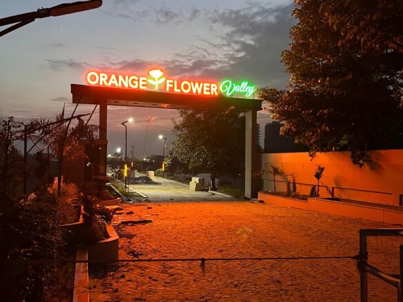 Orange Flower Valley