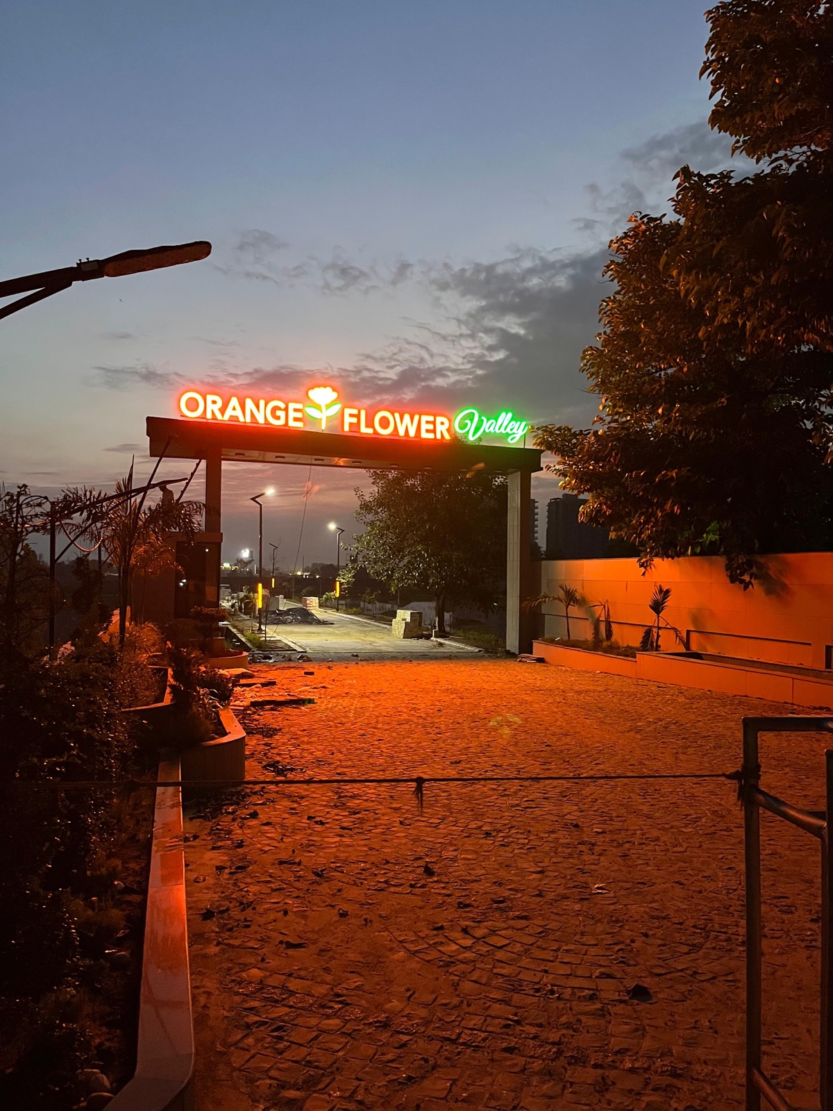Orange Flower Valley
